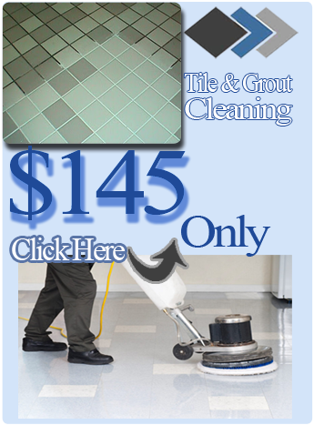 Here's How a Grout Cleaning Service in Alburtis PA Left This